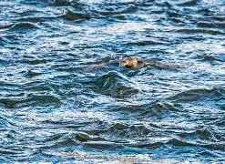 8v8vv8v8任意燥cjwico